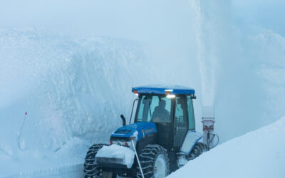 Snow Removal Customer Testimony: Kelly Thayer On Hansel Avenue