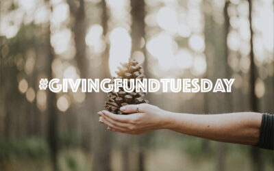 Join Us In #GivingFundTuesday