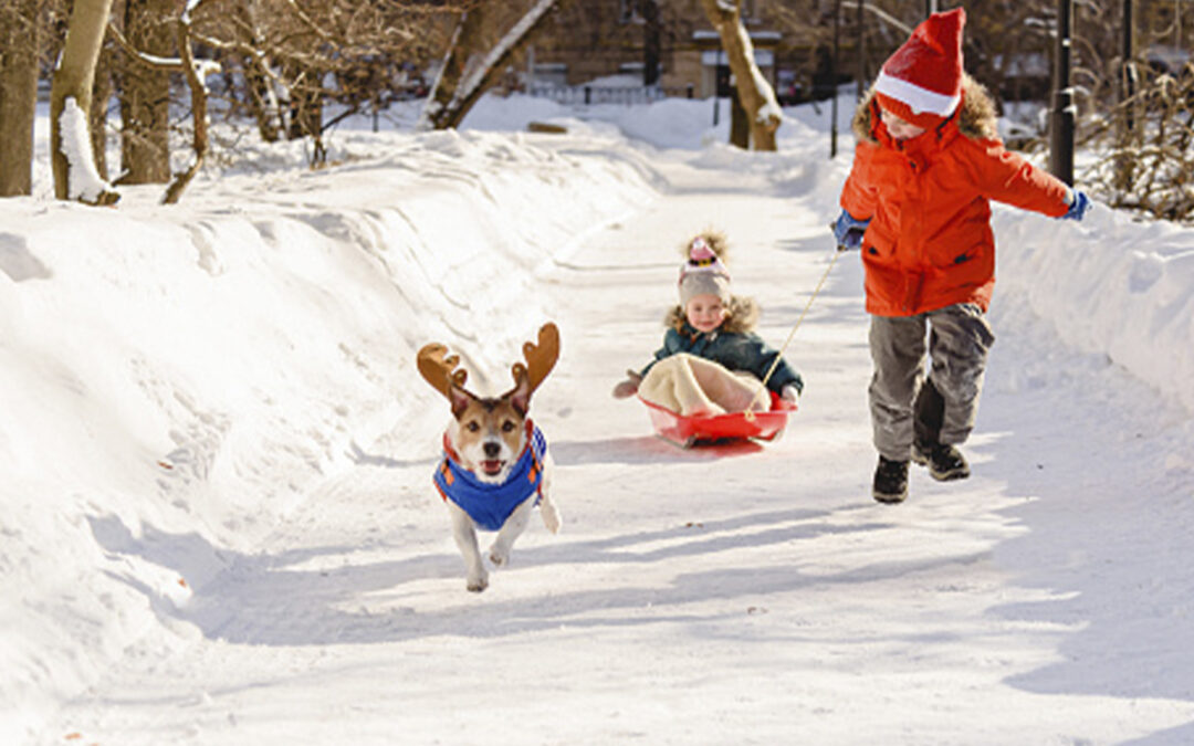 Winter Safety Tip: Don’t Play In Snowy Streets