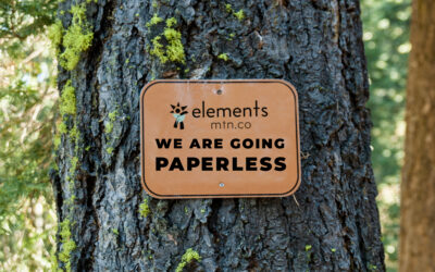 Elements Paperless Client Portal