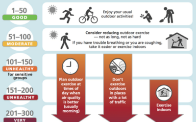 Preparing For Wildfire Smoke