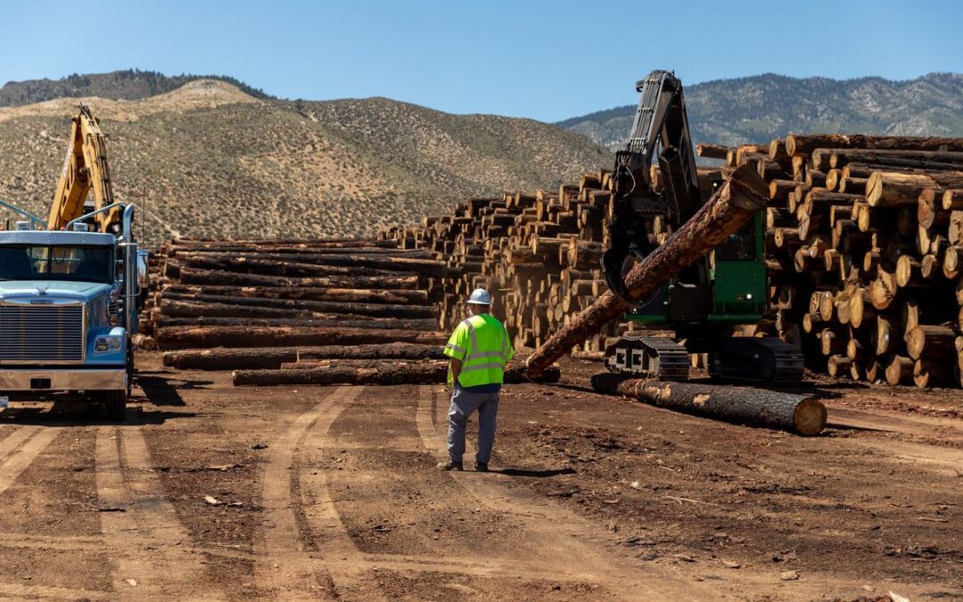 Carson City Sawmill to Help Wildfire Prevention in Tahoe 