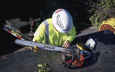 Tools Of The Trade: STIHL Chainsaws