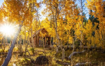 Fall Hikes In Truckee