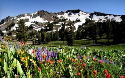 Truckee, California May 2025 Events