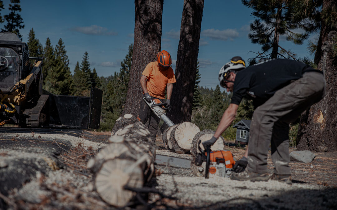 Defensible Space in May: What to Clear Now