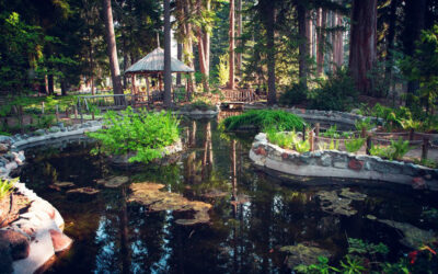Tallac Historic Site: A Peek into Lake Tahoe’s Storied Past