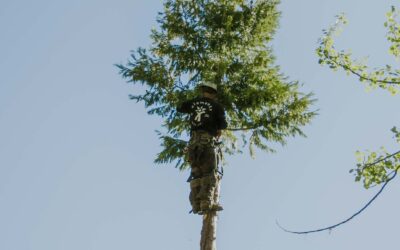 Firewise Fall: Defensible Space Done Right Before Winter