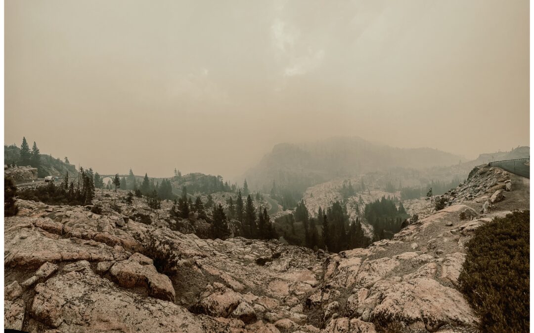 Why Truckee Feels Different in August: Smoke, Water Levels, Bugs, and Wildlife Movement