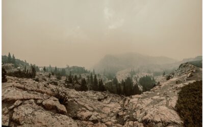 Why Truckee Feels Different in August: Smoke, Water Levels, Bugs, and Wildlife Movement