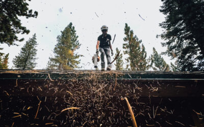 Why Pine Needle Removal Matters Before Winter in Truckee & Tahoe